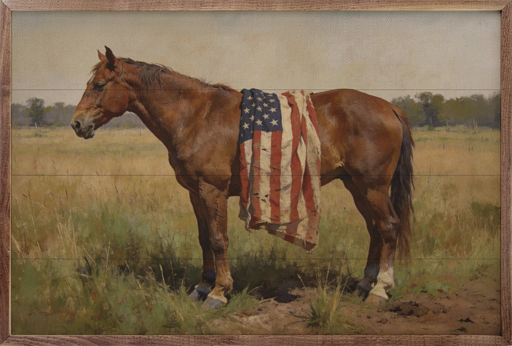 Bay Mare Horse with American Flag - Adult & Kids T-Shirts, Sweatshirts & Hoodies apparel design preview 1