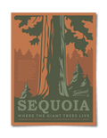 Sequoia National Park Poster - Adult & Kids T-Shirts, Sweatshirts & Hoodies apparel design preview 1