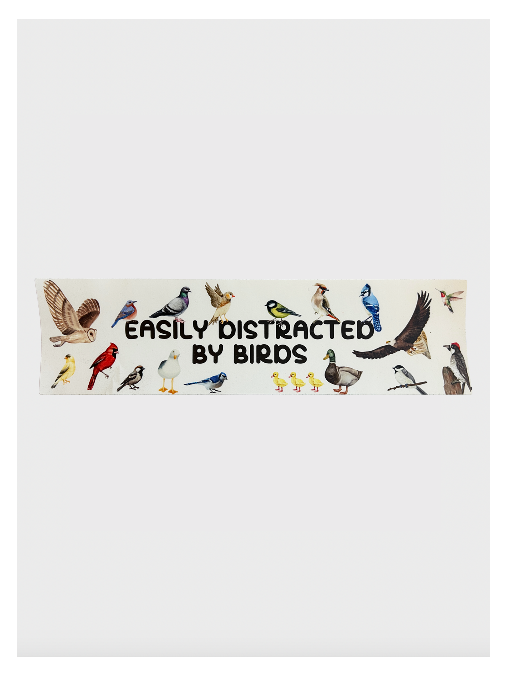 Easily Distracted By Birds Bumper Sticker - Adult & Kids T-Shirts, Sweatshirts & Hoodies apparel design preview 1