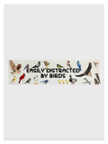 Easily Distracted By Birds Bumper Sticker - Adult & Kids T-Shirts, Sweatshirts & Hoodies apparel design preview 1