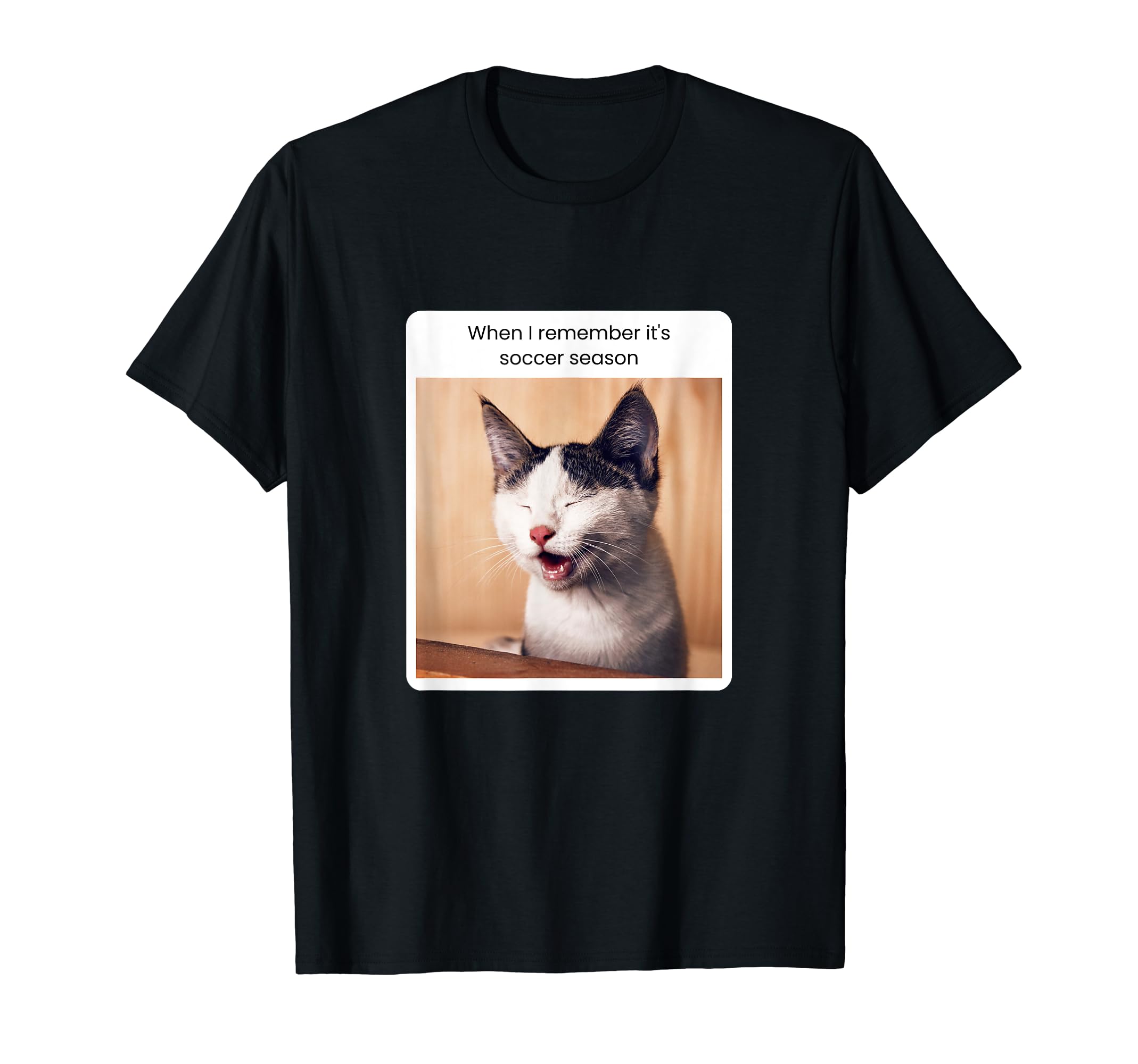 Funny Cat Meme When I Remember Its T-Shirt - Streetwear Style Men Women - T-Shirt, Sweatshirt, Hoodie