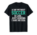 Sarcastic Soccer Soccer Lover Text T-Shirt - Casual Everyday Wear Unisex - T-Shirt, Sweatshirt, Hoodie