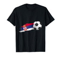 Serbia Soccer Ball T-Shirt - Novelty Apparel for Adults - T-Shirt, Sweatshirt, Hoodie
