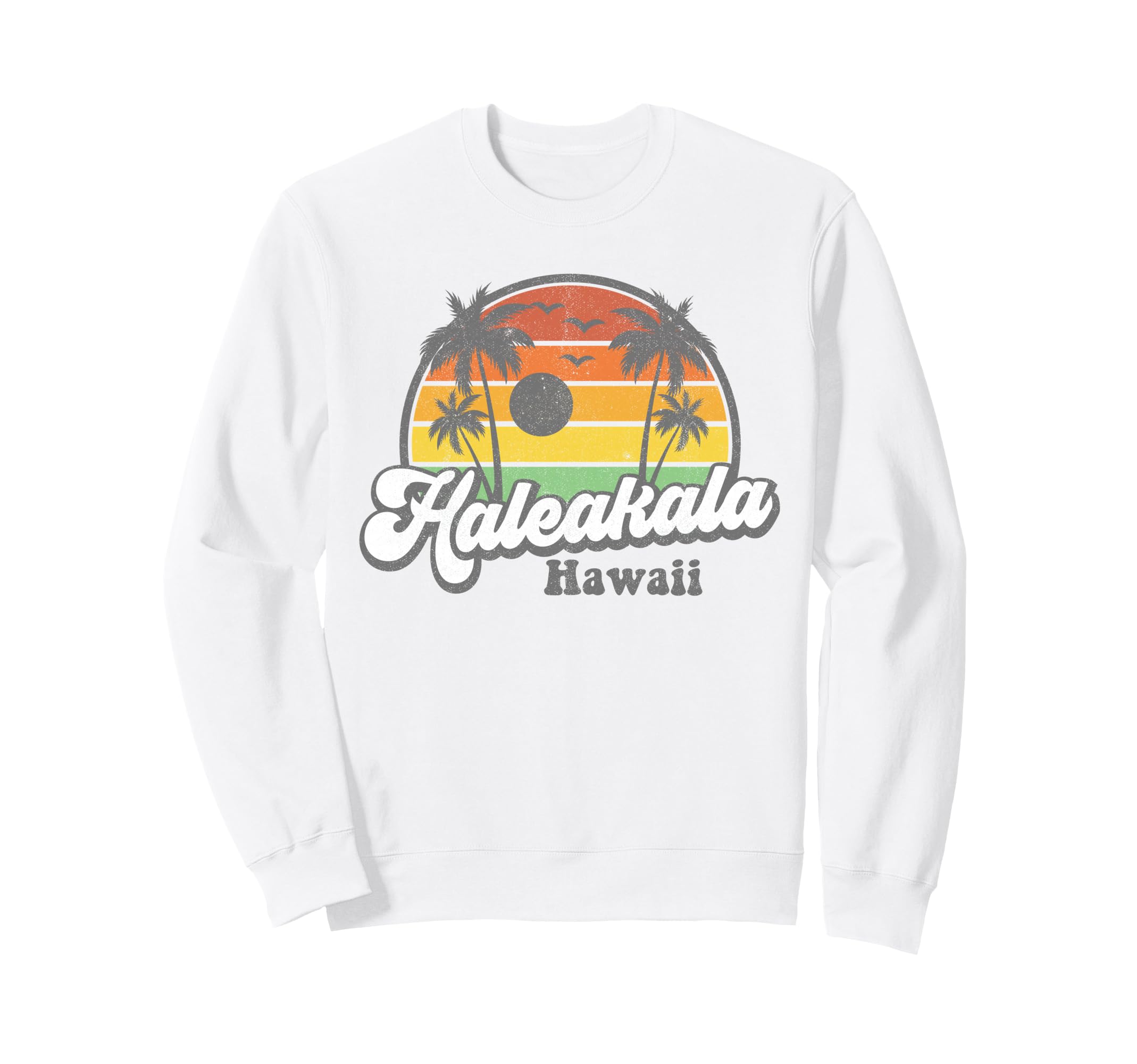 Haleakala Hawaii National Park Sweatshirt - Fun Novelty Design for Adults - T-Shirt, Sweatshirt, Hoodie
