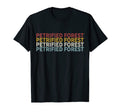 70S Usa Petrified Forest National Park T-Shirt - Unique Graphic for Adults - T-Shirt, Sweatshirt, Hoodie