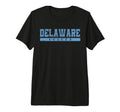 Delaware Soccer Sky Blue Text Tri Blend T-Shirt - Novelty Apparel Men Women - T-Shirt, Sweatshirt, Hoodie