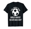 Im Just Worlds Okayest Soccer Coach T-Shirt - Minimalist Print for Adults - T-Shirt, Sweatshirt, Hoodie
