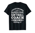 Funny Softball Coach Gift Appreciation T-Shirt - Graphic Print for Adults - T-Shirt, Sweatshirt, Hoodie
