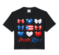 Puerto Rico Flag Soccer Lovers Hoodie - Aesthetic Graphic for Adults - T-Shirt, Sweatshirt, Hoodie
