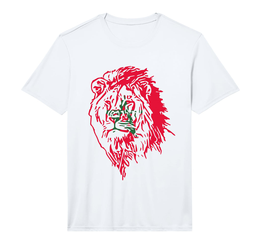 Moorish American Morocco Flag T-Shirt - Novelty Apparel for Adults - T-Shirt, Sweatshirt, Hoodie