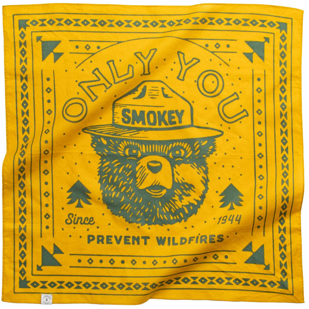 Smokey Bear Bandana - Adult & Kids T-Shirts, Sweatshirts & Hoodies apparel design preview 1