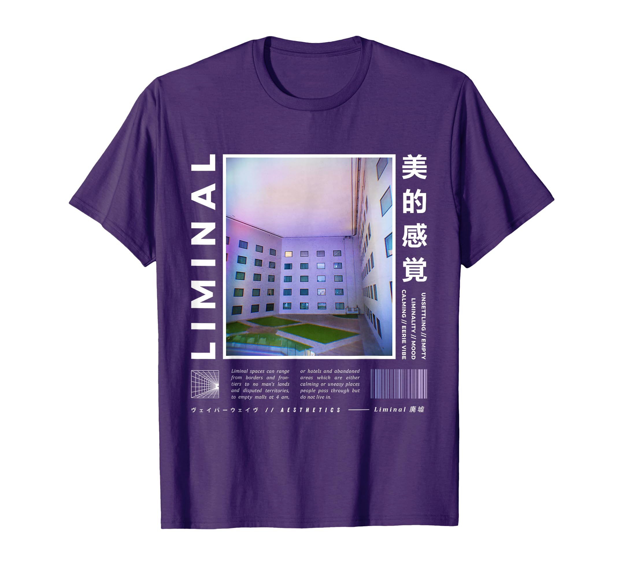 Liminal Spaces Vaporwave Aesthetic T-Shirt - Custom Art Print for Adults - T-Shirt, Sweatshirt, Hoodie