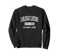 Carlsbad Caverns National Park Sweatshirt - Minimalist Print for Adults - T-Shirt, Sweatshirt, Hoodie