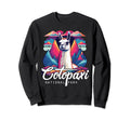 Cotopaxi National Park Ecuador Sweatshirt - Custom Art Print Men Women - T-Shirt, Sweatshirt, Hoodie