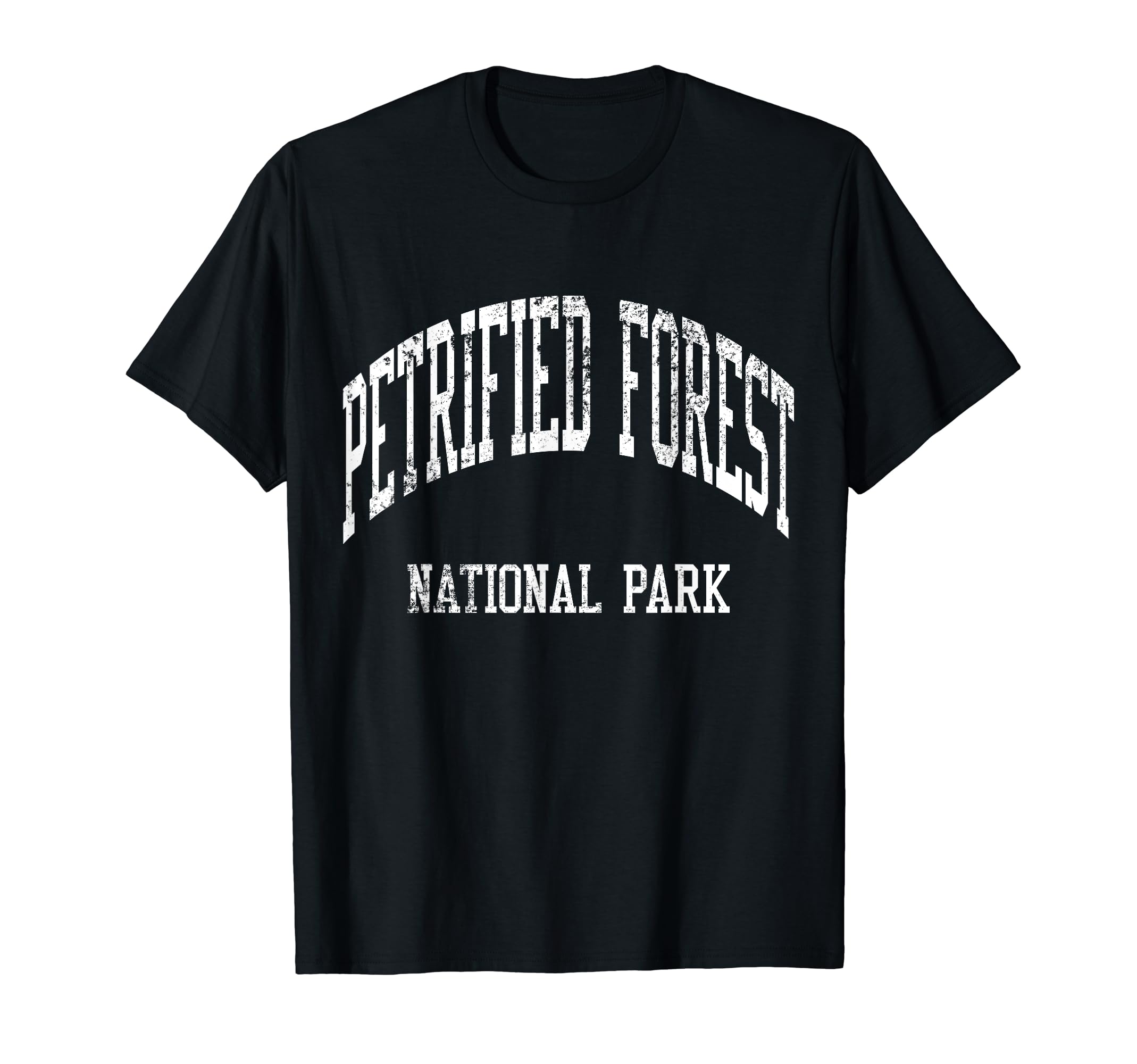 Petrified Forest National Park 70S T-Shirt - Trendy Graphic Men Women - T-Shirt, Sweatshirt, Hoodie