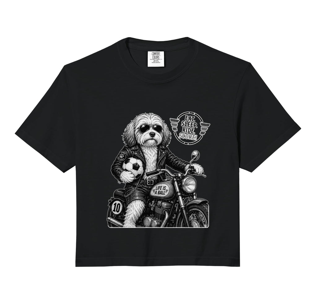 Havanese Motorbike Love Footbal Sweatshirt - Novelty Apparel for Adults - T-Shirt, Sweatshirt, Hoodie