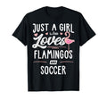 Just Who Loves Flamingos And Soccer T-Shirt - Aesthetic Graphic for Adults - T-Shirt, Sweatshirt, Hoodie