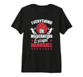 Everything Moderation Except Handball T-Shirt - Graphic Print for Adults - T-Shirt, Sweatshirt, Hoodie