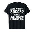 Soccer Soccer Lover Soccer Player T-Shirt - Aesthetic Graphic for Adults - T-Shirt, Sweatshirt, Hoodie
