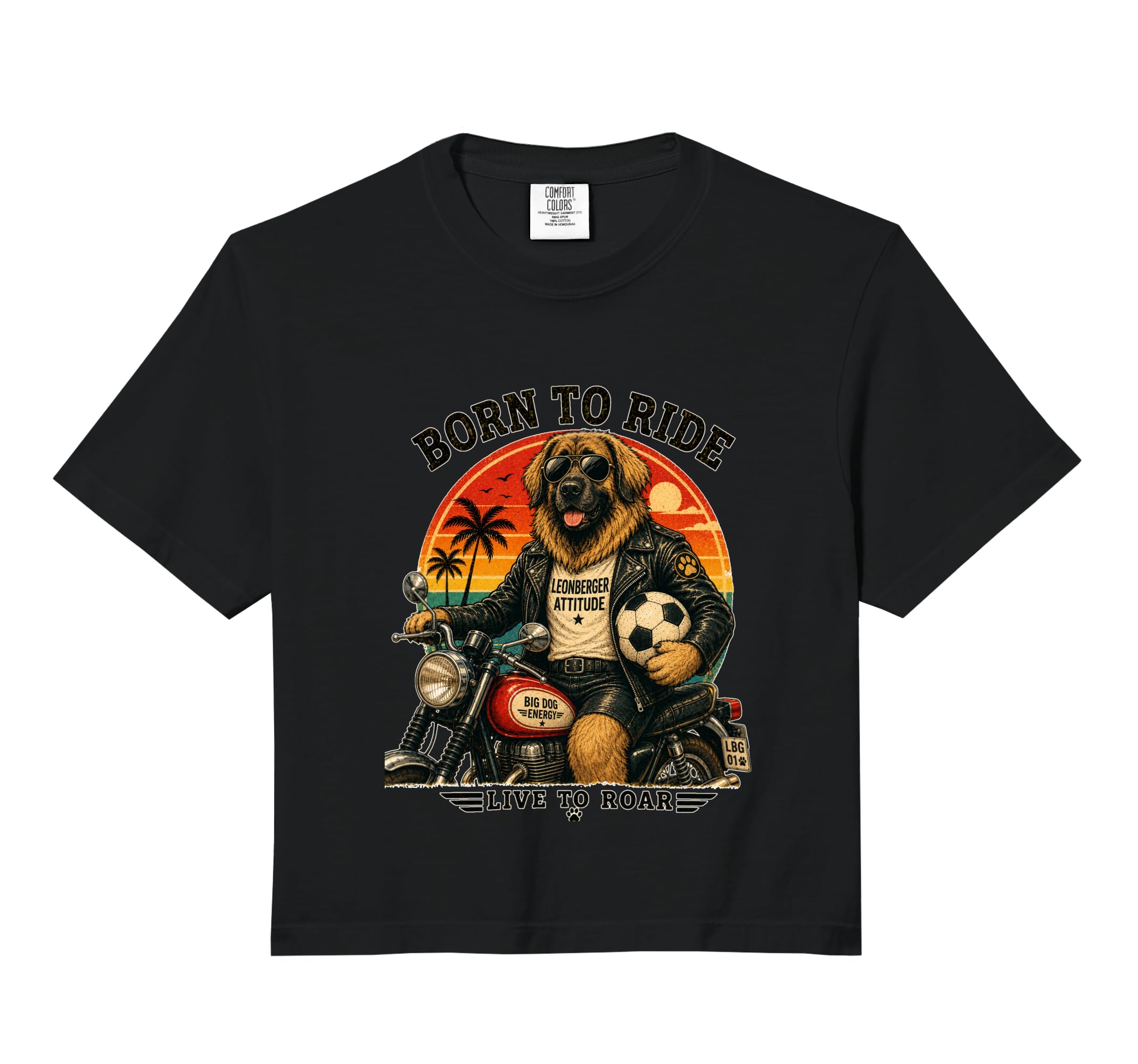 Leonberger Motorbike Love Footbal Hoodie - Fun Novelty Design Men Women - T-Shirt, Sweatshirt, Hoodie