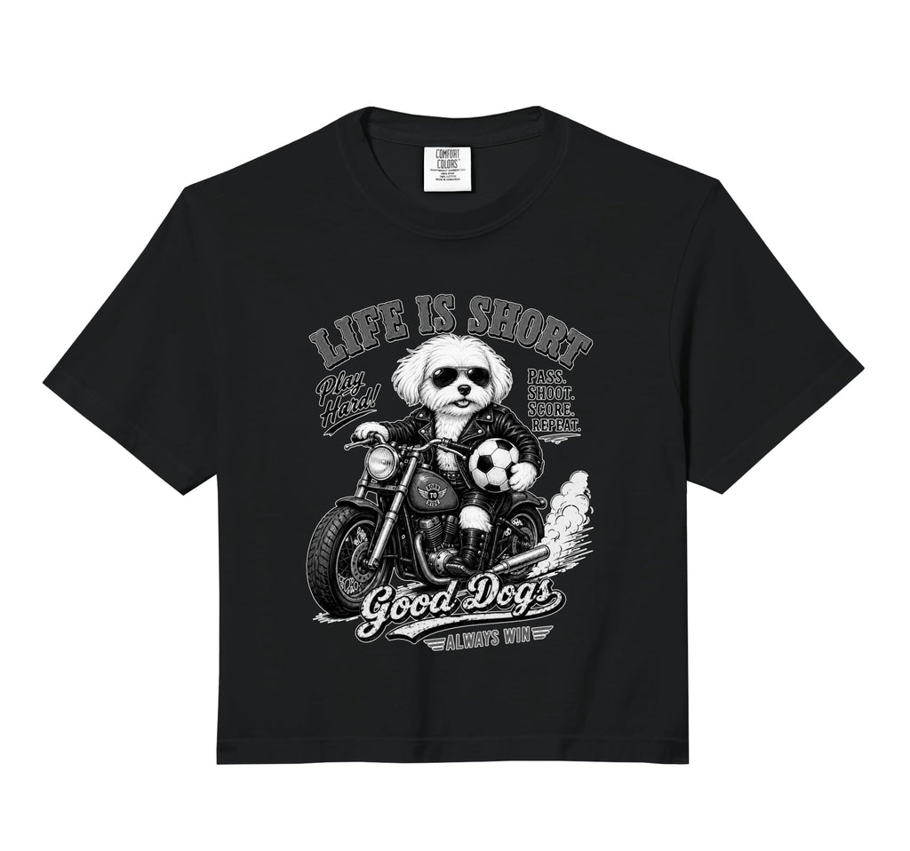 Maltese Motorbike Love Footbal Sweatshirt - Aesthetic Graphic for Adults - T-Shirt, Sweatshirt, Hoodie