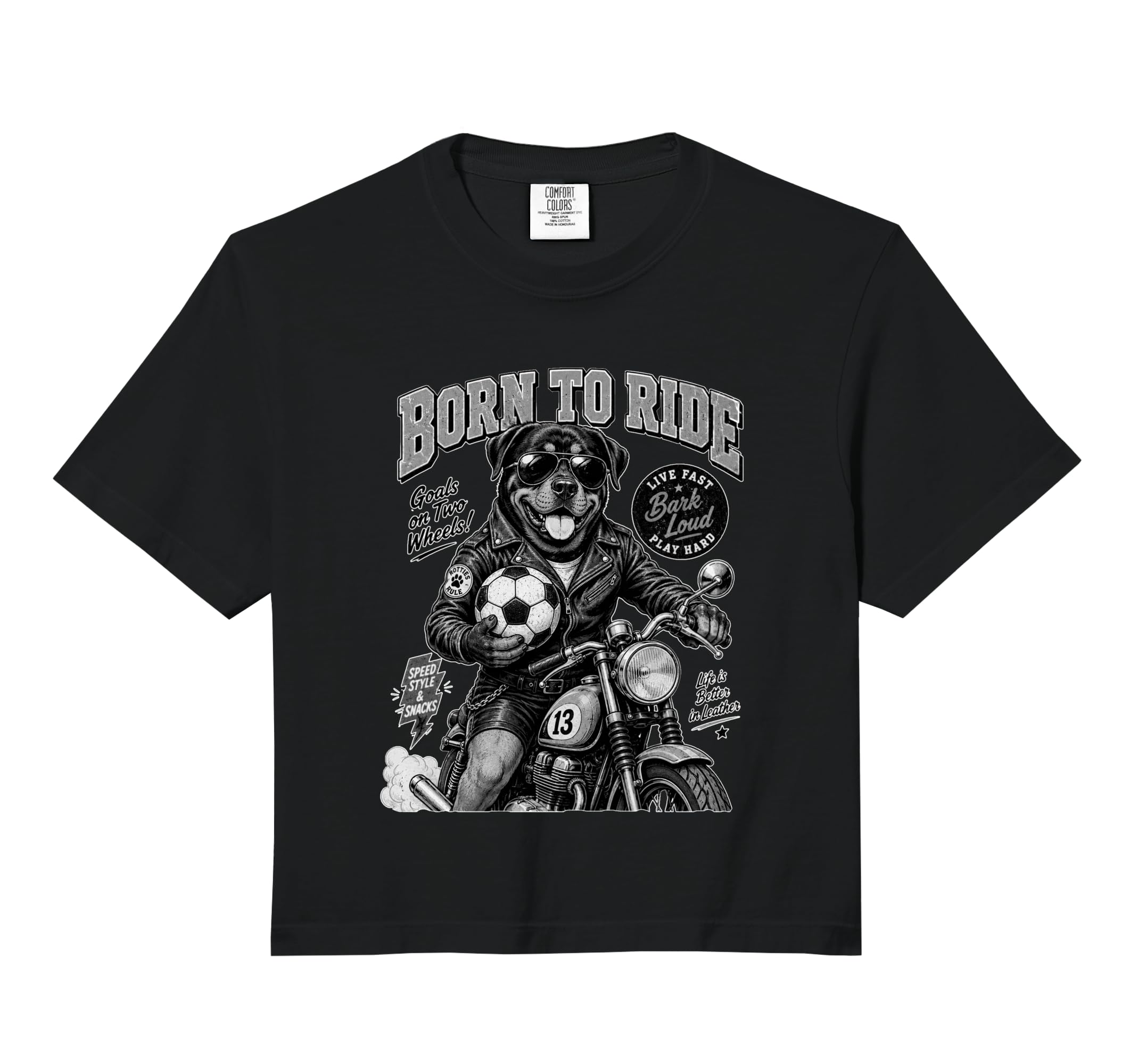 Rottweiler Ride Motorbike Love Hoodie - Aesthetic Graphic for Adults - T-Shirt, Sweatshirt, Hoodie