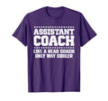 Assistant Coach Tennis Softball T-Shirt - Minimalist Print for Adults - T-Shirt, Sweatshirt, Hoodie