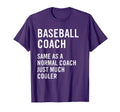 Baseball Coach Definition Funny T-Shirt - Fun Novelty Design for Adults - T-Shirt, Sweatshirt, Hoodie