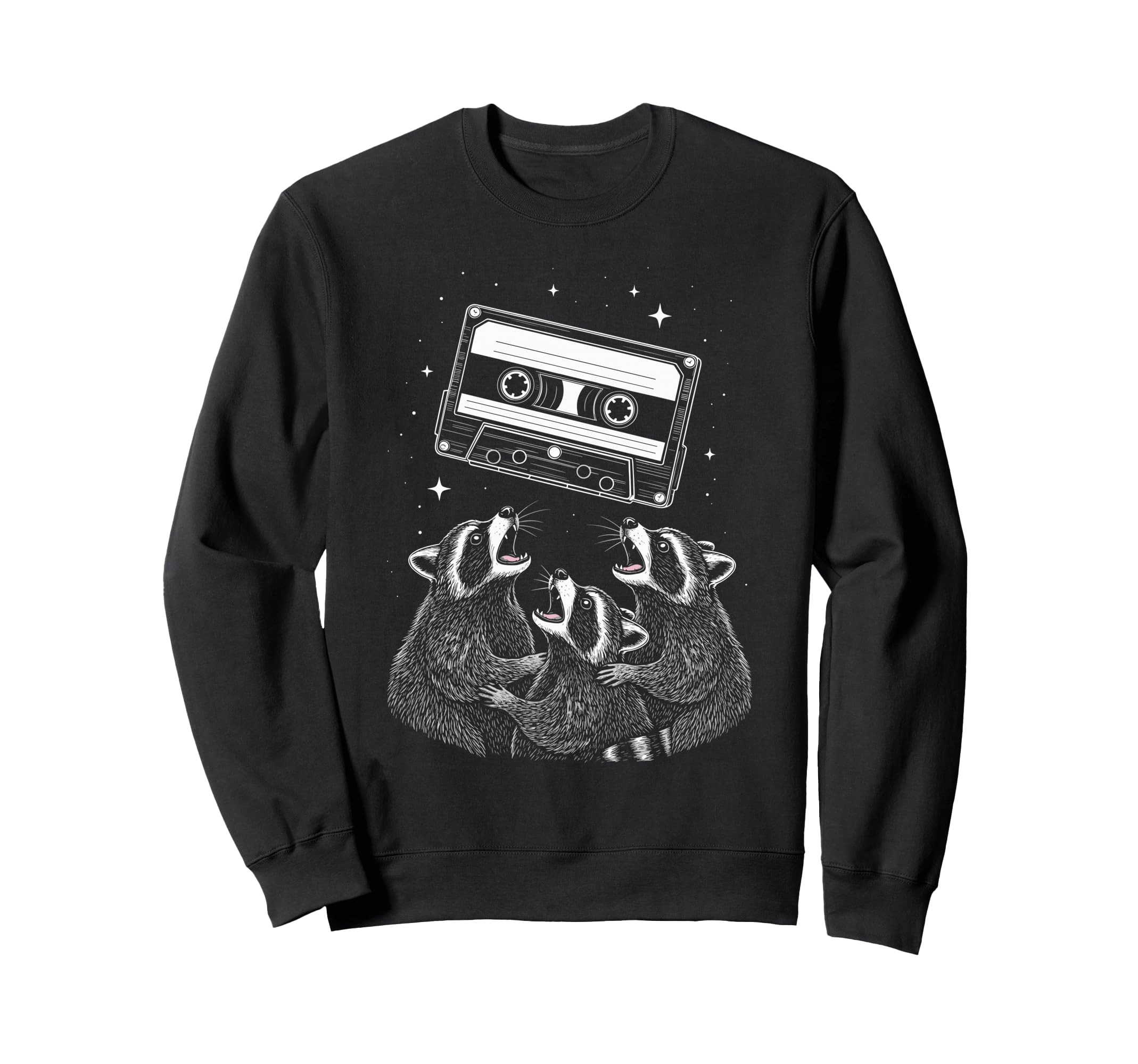 Cosmic Raccoons Worship Sweatshirt - Casual Everyday Wear Men Women - T-Shirt, Sweatshirt, Hoodie