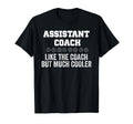 Professional Assistant Volleyball T-Shirt - Unique Graphic for Adults - T-Shirt, Sweatshirt, Hoodie