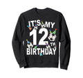 Funny Its My 12Th Birthday Hats Sweatshirt - Fun Novelty Design Unisex - T-Shirt, Sweatshirt, Hoodie