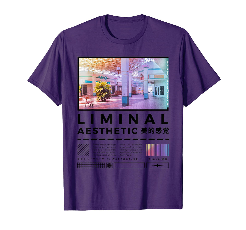 Liminal Spaces Internet 80S 90S T-Shirt - Casual Everyday Wear Men Women - T-Shirt, Sweatshirt, Hoodie