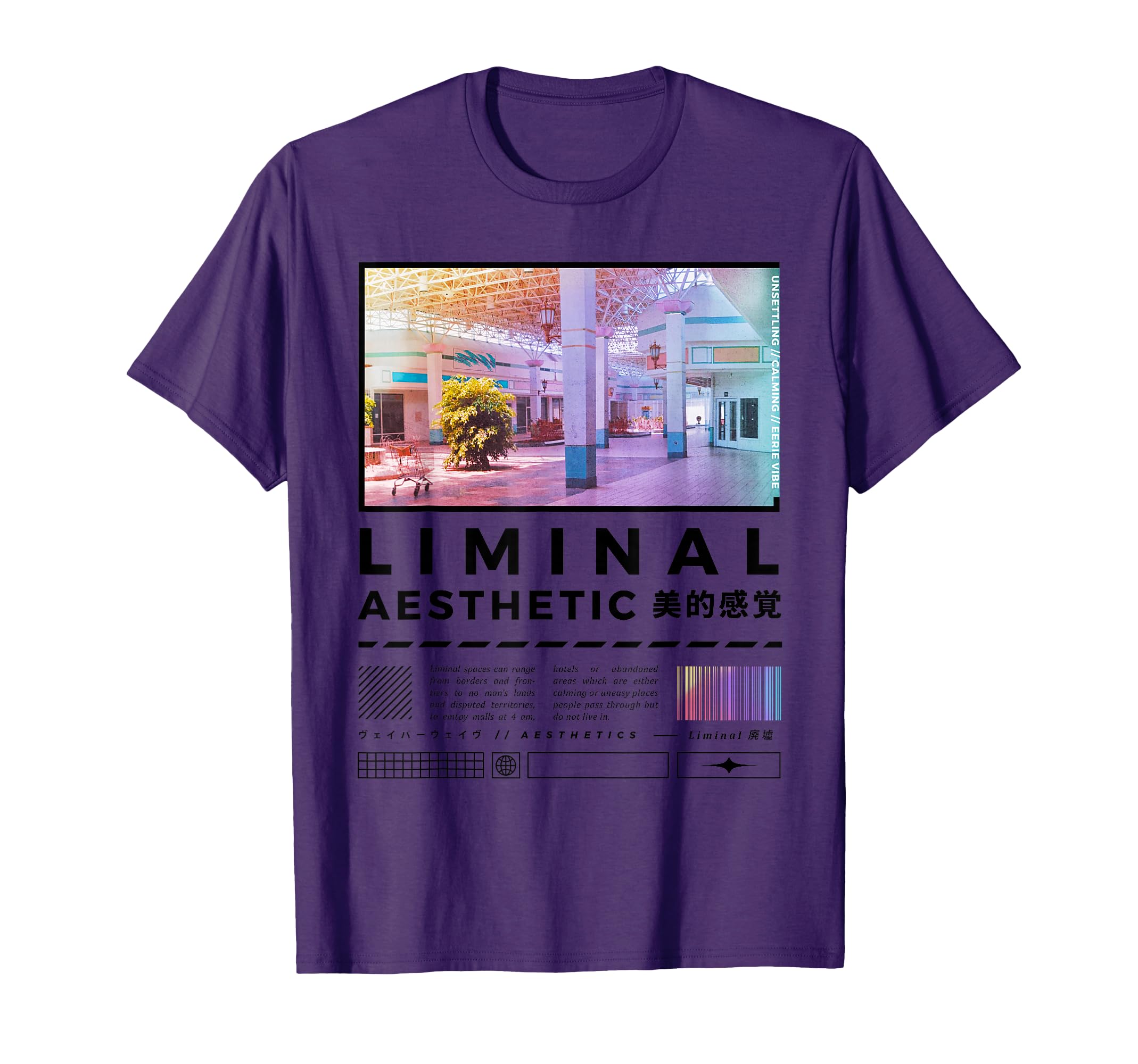 Liminal Spaces Internet 80S 90S T-Shirt - Casual Everyday Wear Men Women - T-Shirt, Sweatshirt, Hoodie