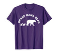 Grand Mama Bear Grandma Bear 2 Two Cubs T-Shirt - Unique Graphic Men Women - T-Shirt, Sweatshirt, Hoodie