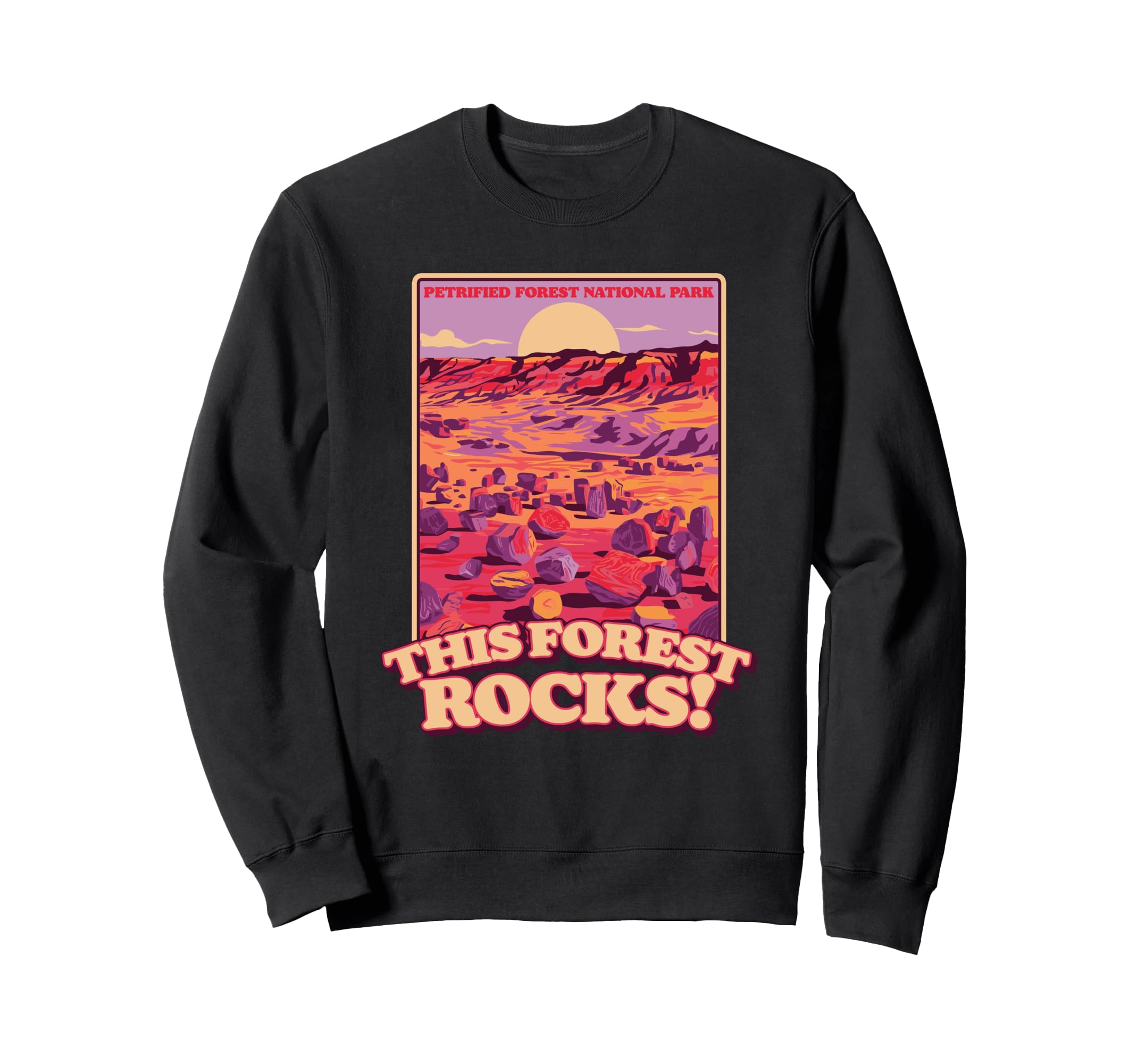 Petrified Forest National Park This Sweatshirt - Trendy Graphic for Adults - T-Shirt, Sweatshirt, Hoodie