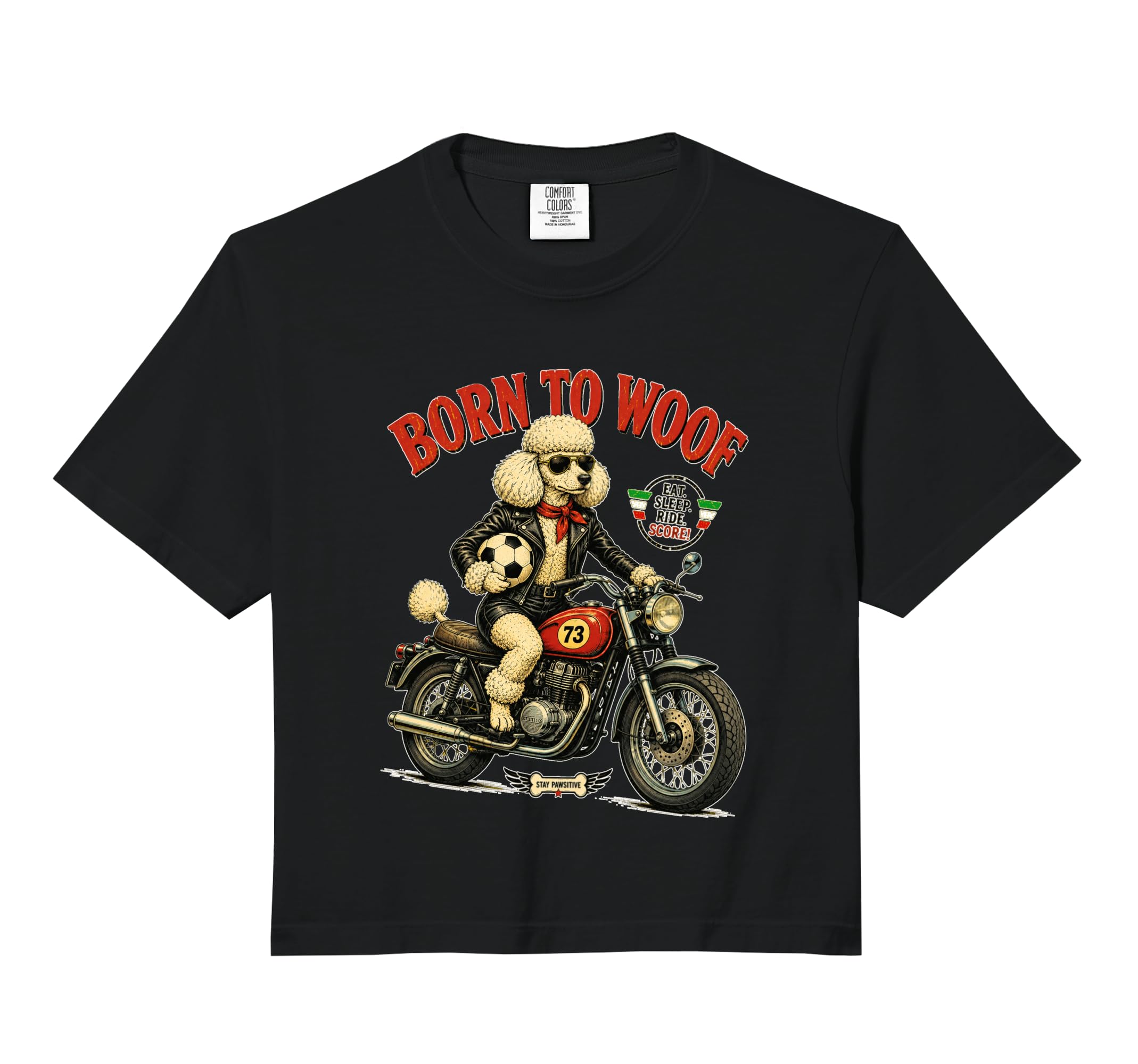 Poodle Motorbike Love Footbal Sweatshirt - Aesthetic Graphic for Adults - T-Shirt, Sweatshirt, Hoodie