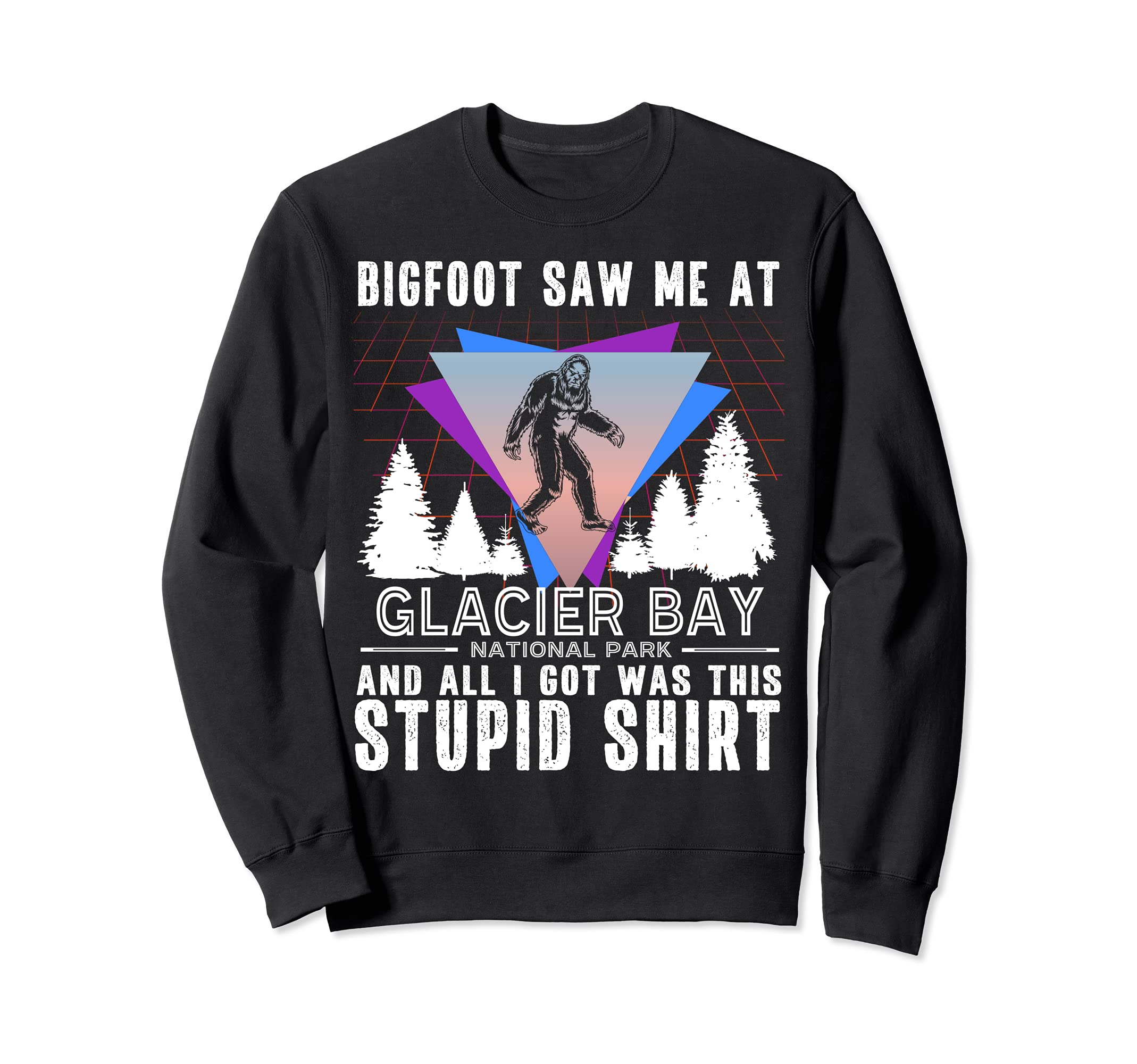 Glacier Bay National Park Alaska Sweatshirt - Unique Graphic Men Women - T-Shirt, Sweatshirt, Hoodie