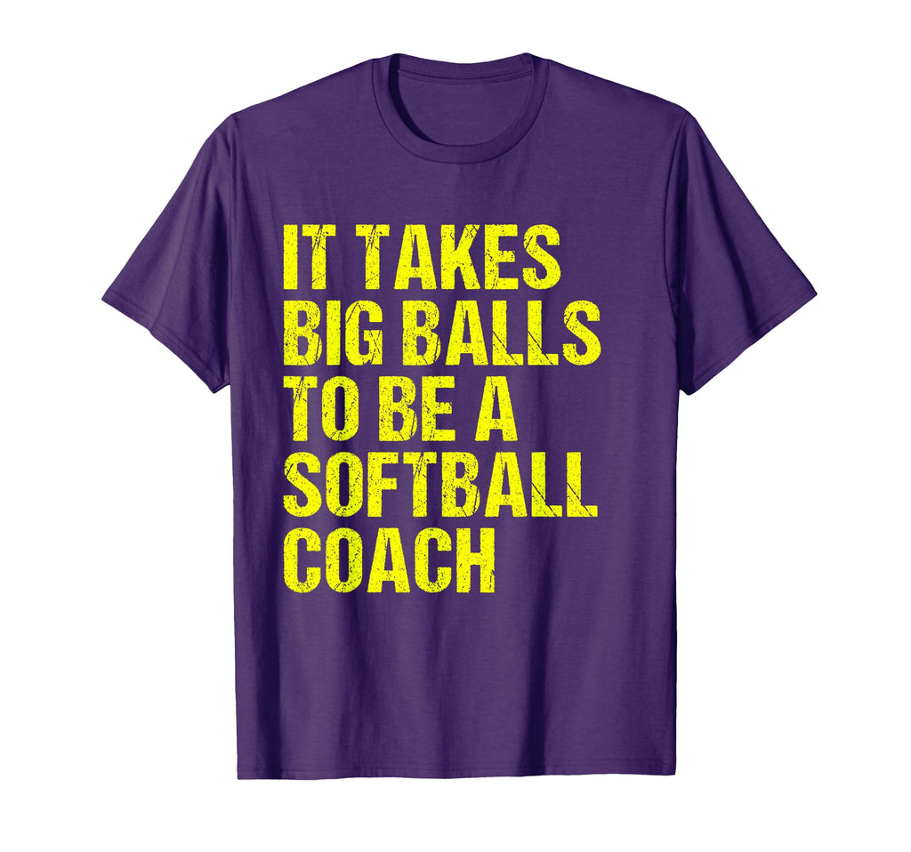 Funny Softball Coach Gift Softball T-Shirt - Novelty Apparel Men Women - T-Shirt, Sweatshirt, Hoodie