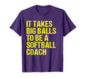Funny Softball Coach Gift Softball T-Shirt - Novelty Apparel Men Women - T-Shirt, Sweatshirt, Hoodie
