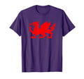 Red Dragon Wales Welsh Flag Soccer T-Shirt - Aesthetic Graphic for Adults - T-Shirt, Sweatshirt, Hoodie