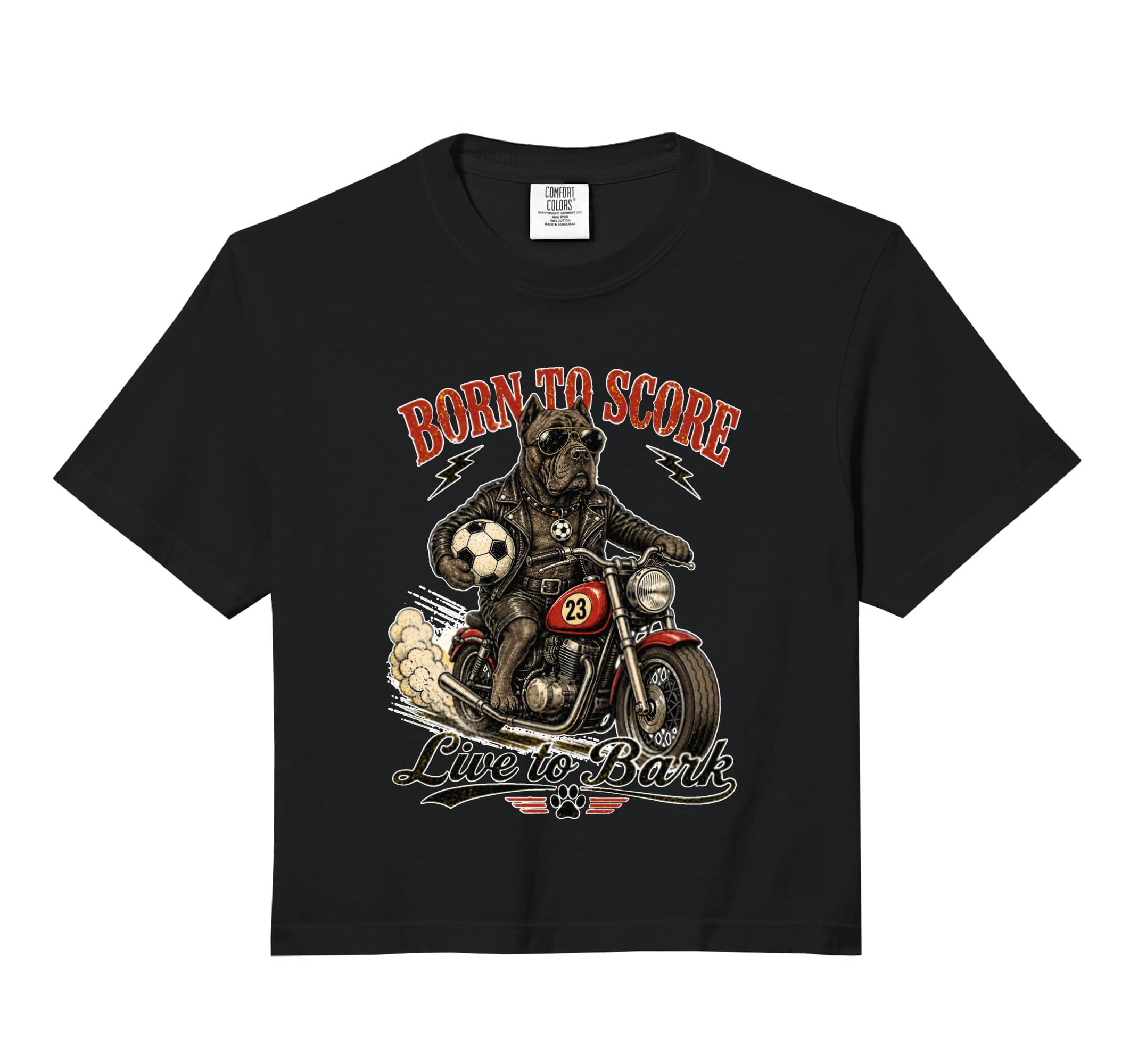 Cane Corso Motorbike Love Footbal Hoodie - Casual Everyday Wear Men Women - T-Shirt, Sweatshirt, Hoodie
