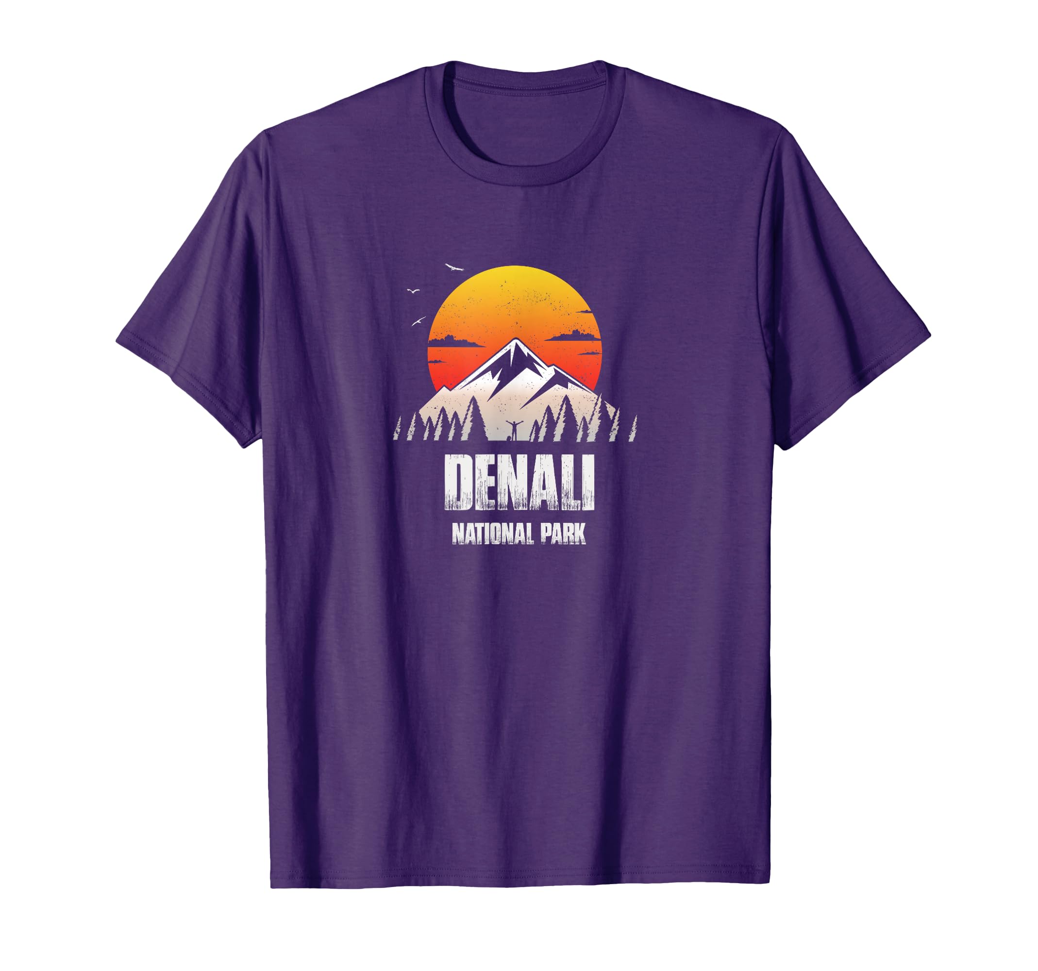 Denali Reminder National Park T-Shirt - Casual Everyday Wear Unisex - T-Shirt, Sweatshirt, Hoodie