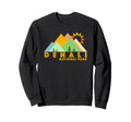 Denali National Park Sweatshirt - Streetwear Style for Adults - T-Shirt, Sweatshirt, Hoodie