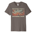 Petrified Forest National Park Hoodie - Aesthetic Graphic Men Women - T-Shirt, Sweatshirt, Hoodie