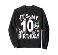 Funny Its My 10Th Birthday Hats Sweatshirt - Aesthetic Graphic for Adults - T-Shirt, Sweatshirt, Hoodie