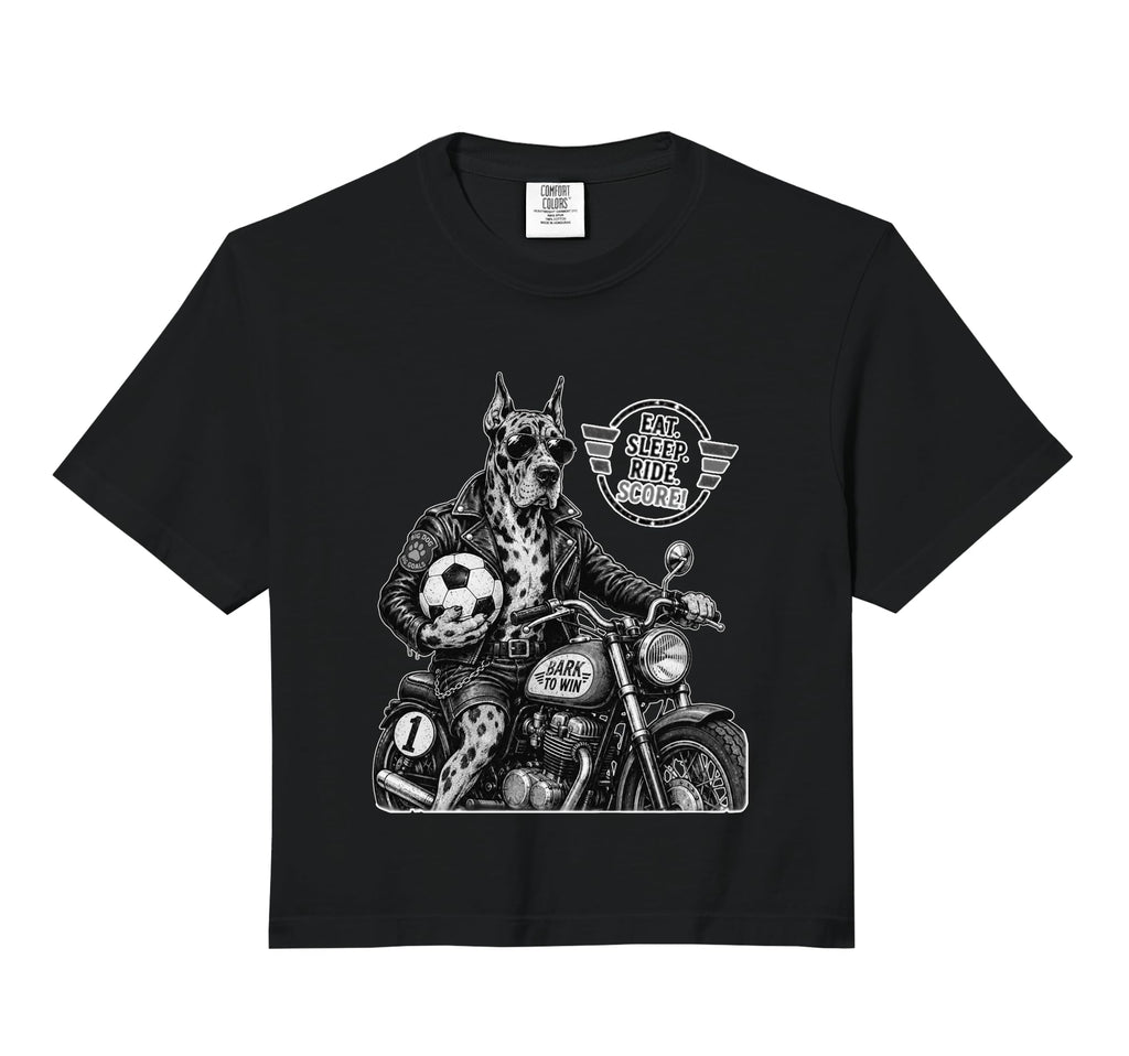 Gordon Setter Motorbike Love Footbal Sweatshirt - Aesthetic Graphic Unisex - T-Shirt, Sweatshirt, Hoodie