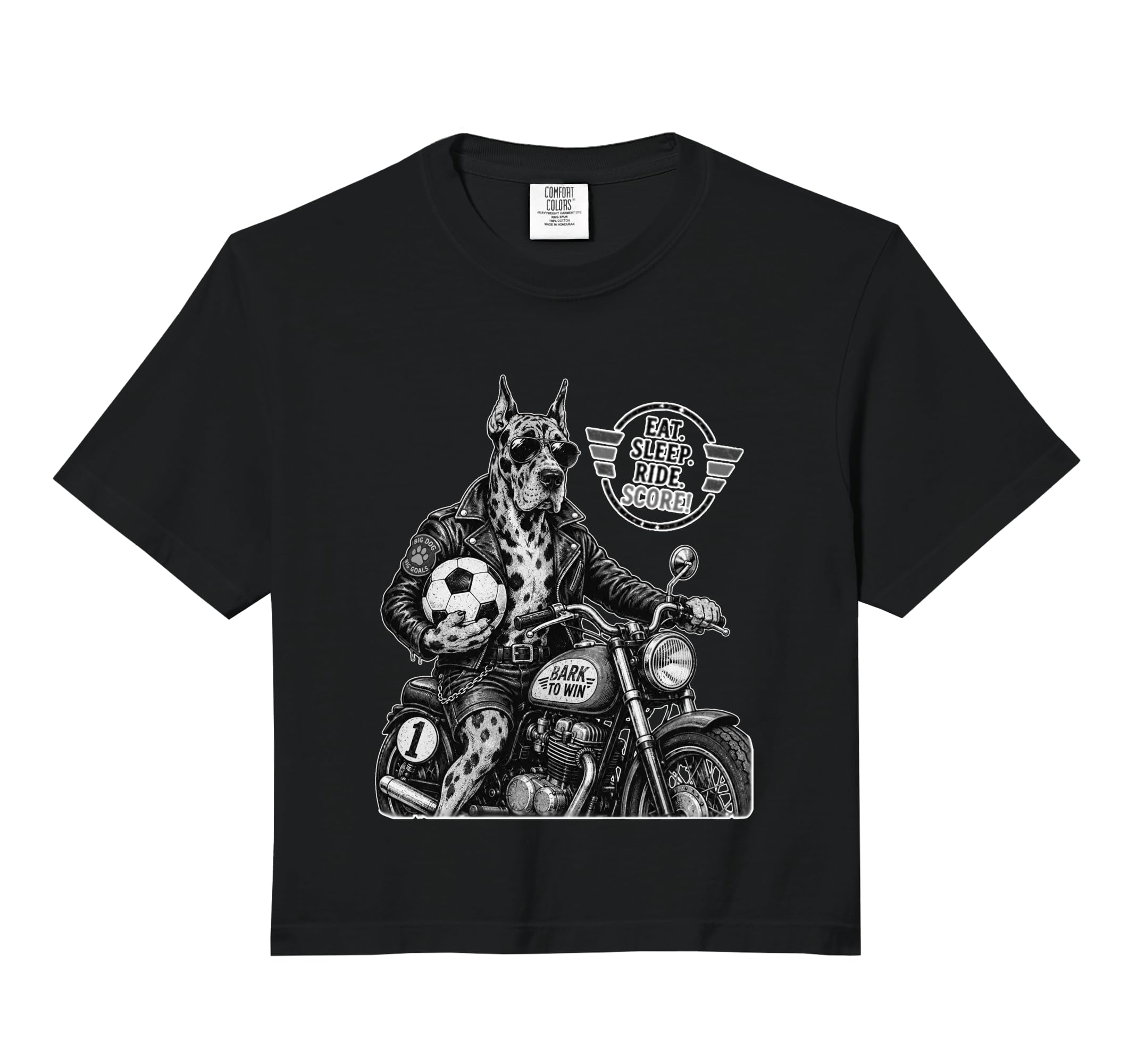 Gordon Setter Motorbike Love Footbal Sweatshirt - Aesthetic Graphic Unisex - T-Shirt, Sweatshirt, Hoodie