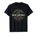 Great Sand Dunes National Park T-Shirt - Trendy Graphic for Adults - T-Shirt, Sweatshirt, Hoodie