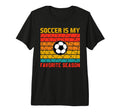 Soccer Player Season Tri Blend T-Shirt - Fun Novelty Design Unisex - T-Shirt, Sweatshirt, Hoodie