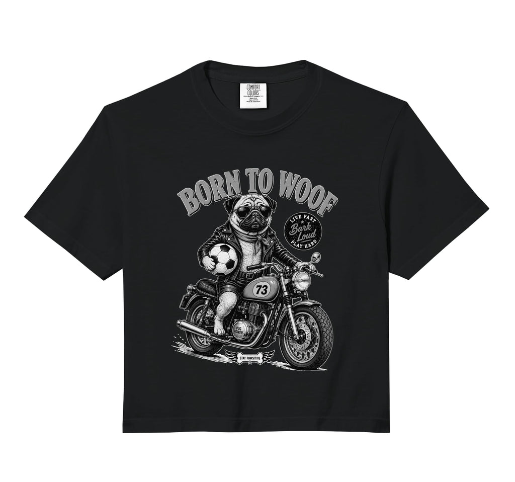 Pug Dog Motorbike Love Footbal Hoodie - Aesthetic Graphic for Adults - T-Shirt, Sweatshirt, Hoodie